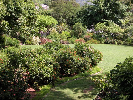 Botanic Garden, Road Town, Tortola