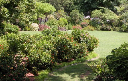 Botanic Garden