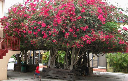 Road Town, Tortola