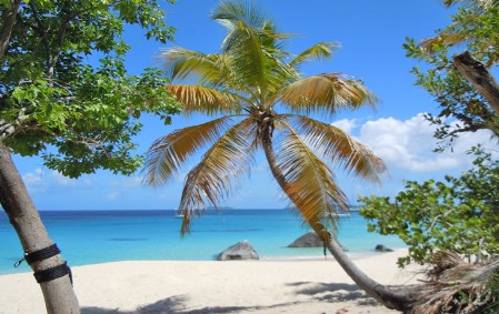 Little Trunk Bay, Virgin Gorda, 2016