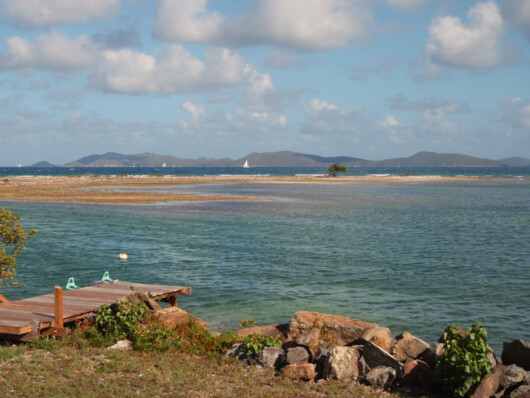 Halls Haven, Tortola