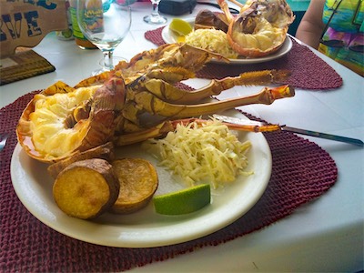 And the incredibly delicious Anegada spiny lobster.