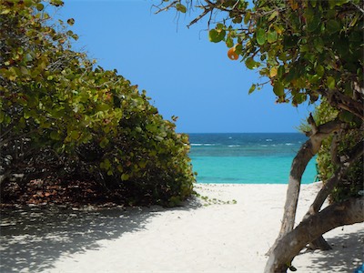 Big Bamboo Beach Bar & Restaurant, Jack Bay Point.