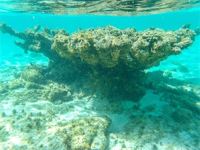 Jack Bay Point, Anegada.