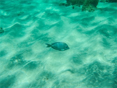 Jack Bay Point, Anegada.
