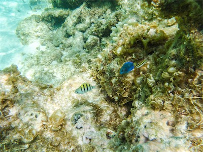 Jack Bay Point, Anegada.