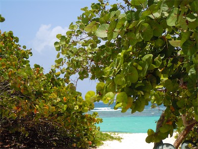 Big Bamboo Beach Bar & Restaurant, Jack Bay Point.