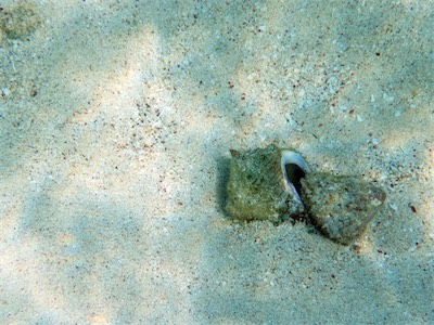 Jack Bay Point, Anegada.