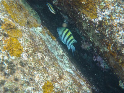 Jack Bay Point, Loblolly Bay, Anegada