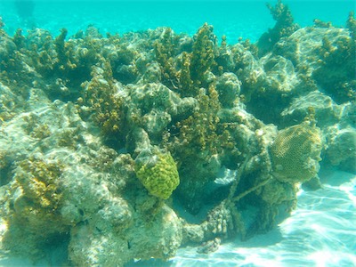 Jack Bay Point, Loblolly Bay, Anegada