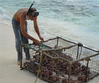 Loblolly Bay, Anegada Spiny Lobster
