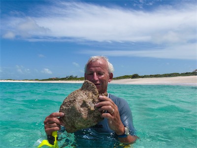 A conch, a sea snail. Jack Bay Point, Loblolly Bay, Anegada