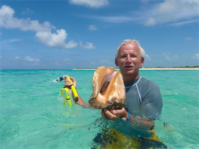 A conch, a sea snail. Jack Bay Point, Loblolly Bay, Anegada