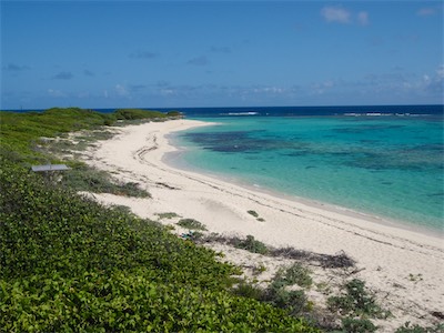 Table Bay, Anegada