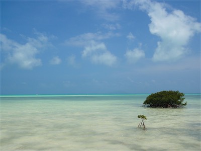 Near the Flamingo Lookout Point