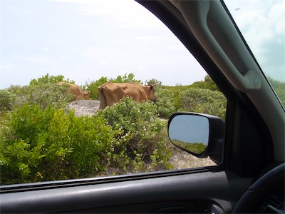 Anegada