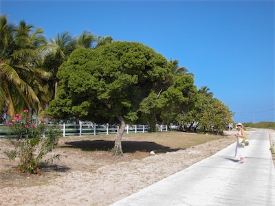 Pomato Point, Anegada