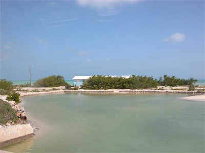 Flamingo Pond Lookout