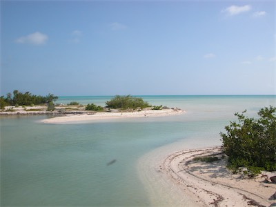 Flamingo Pond Lookout