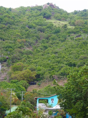 Belle Vue, Jost van Dyke