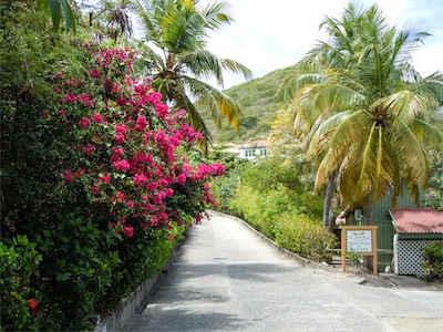 Peter Island Resort, BVI