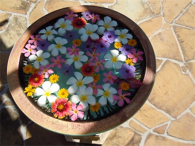 Peter Island Resort, SPA, BVI