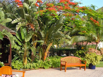 Peter Island Resort, Harbour, BVI
