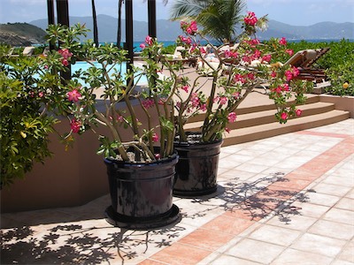Tradewinds Restaurant, Peter Island Resort, BVI