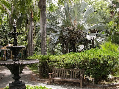 J.R. O'Neal Botanical Gardens, Road Town