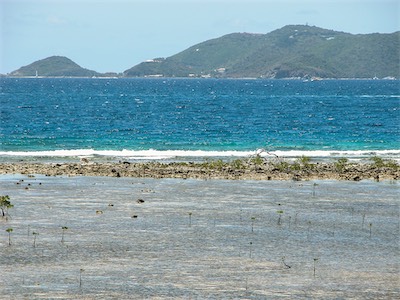 Manatee Point, Sea Cow Bay and Peter Island