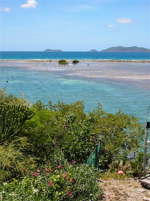 Manatee Point, Sea Cow Bay, Sir Francis Drake Channel, Dead Chest and Peter Island