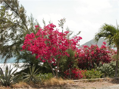 Leverick Bay - North Sound, Virgin Gorda