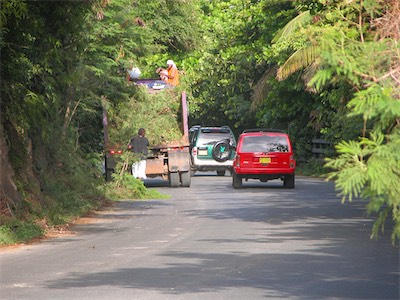 Manatee Point, Sea Cow Bay