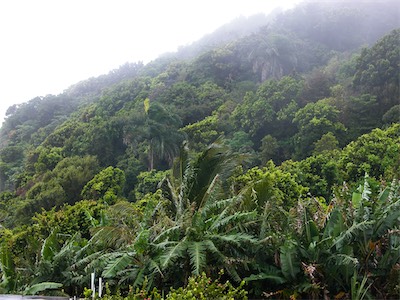 Our first attempt to reach the highest point in the BVI