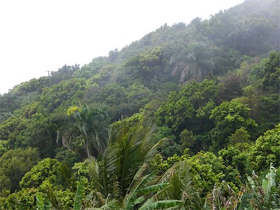 Our first attempt to reach the highest point in the BVI