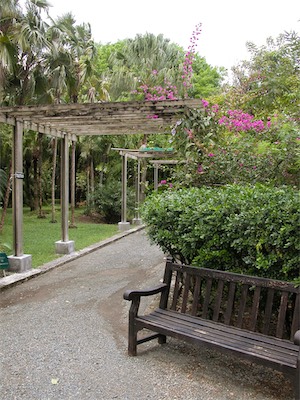 Botanic Gardens, Road Town, Tortola, BVI