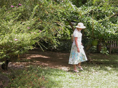 Botanic Gardens, Road Town, Tortola, BVI