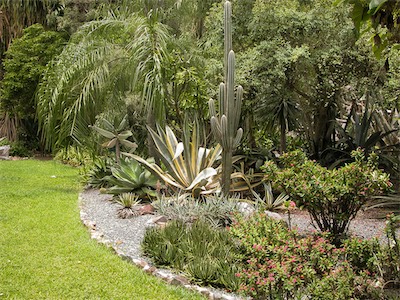 Botanic Gardens, Road Town, Tortola, BVI