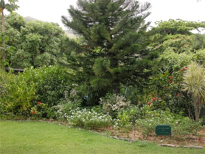 Botanic Gardens, Road Town, Tortola, BVI