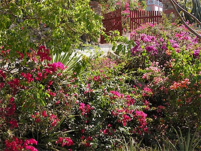 Soper's Hole, West End, Tortola, BVI