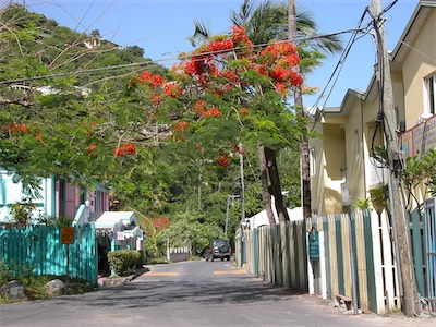 Apple Bay, Tortola, British Virgin Islands