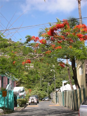 Apple Bay, Tortola, British Virgin Islands