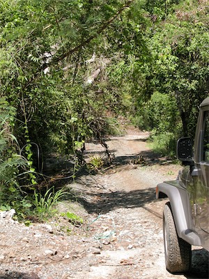 The road to Smuggler's Cove is a bit of an adventure in itself.