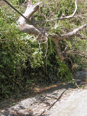 The road to Smuggler's Cove is a bit of an adventure in itself.
