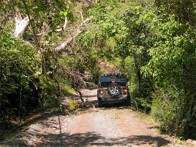 smugglers_cove_gallery_2006_006.jpg
