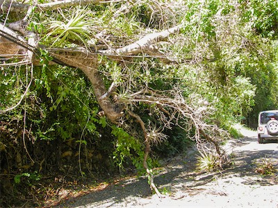 The road to Smuggler's Cove is a bit of an adventure in itself.
