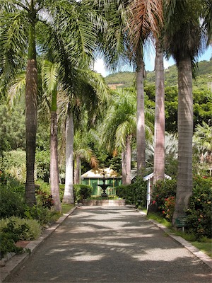 Botanical Gardens, Road Town, Tortola, British Virgin Islands