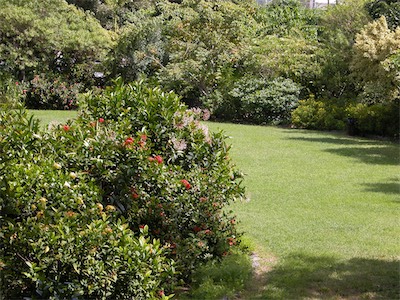 Botanical Gardens, Road Town, Tortola, British Virgin Islands