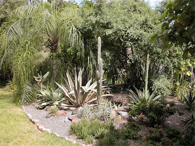 Botanical Gardens, Road Town, Tortola, British Virgin Islands