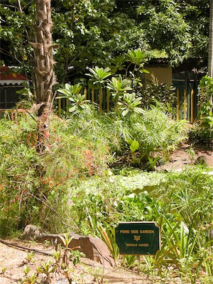 Botanical Gardens, Road Town, Tortola, British Virgin Islands